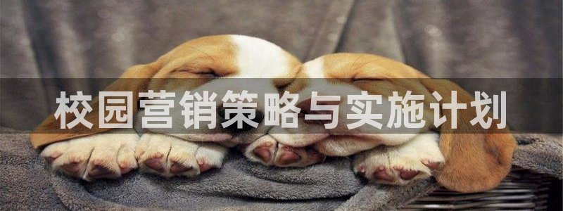 必赢手机版官网