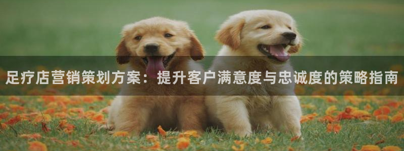必赢手机app下载 最新版安卓苹果