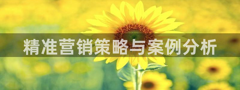 必赢516net怎么进
