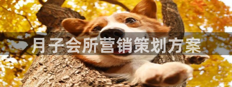 必赢网站mg冰球突破豪华版