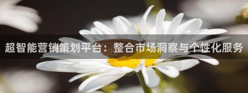 必赢下载安卓版最新版