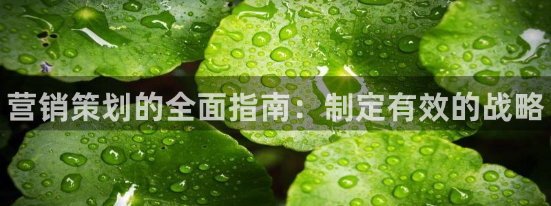 必赢手机app下载 最新版苹果