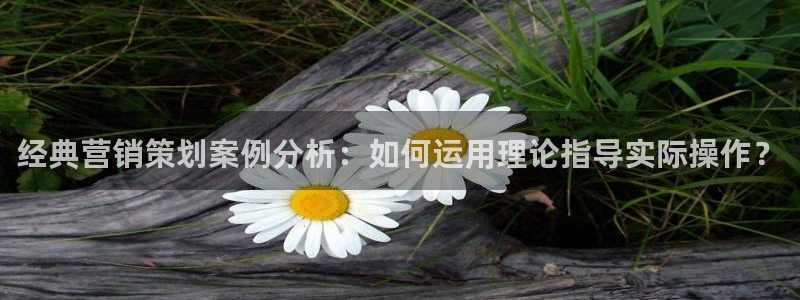 必赢平台怎么样知乎