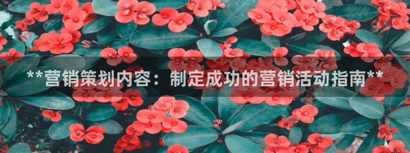 必赢平台官方客服电话