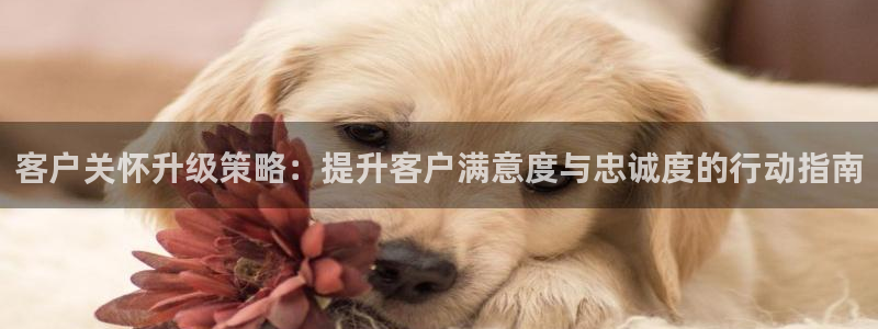 数三十游戏必赢技巧
