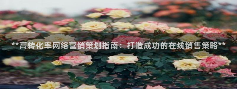 必赢客官方