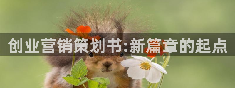 必赢官网网址多少