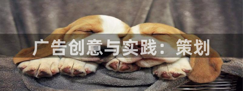 必赢最新官网