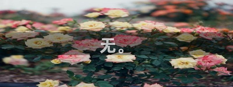 必赢最新网页