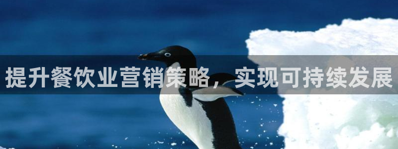 必赢国际怎么样