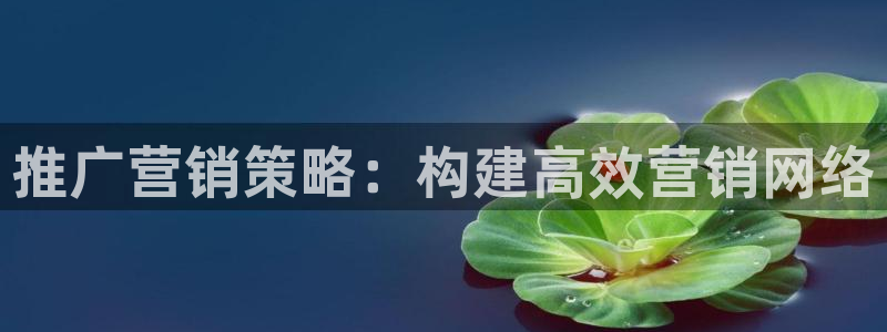 必赢公司