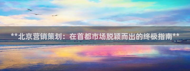 必赢网站是哪一个公司的