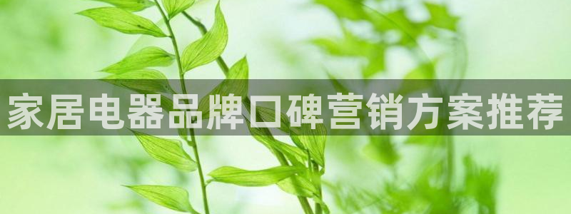 必赢九五