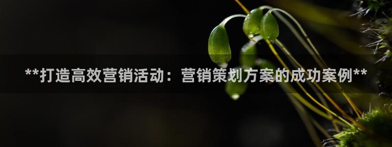 必赢3003 会员账号