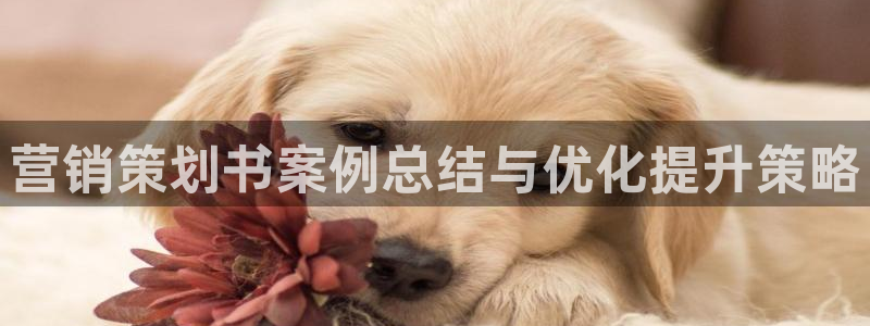 必赢官网app下载安装