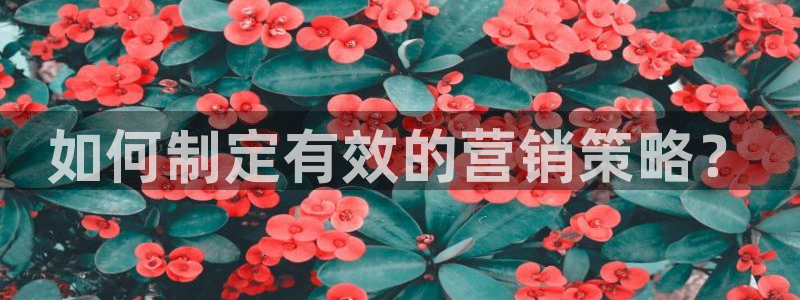 必赢766