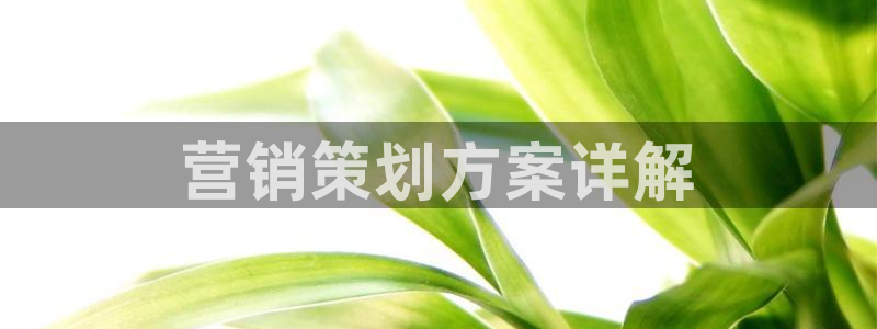 必赢网怎么打不开了
