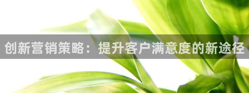 必赢app客户端下载官网