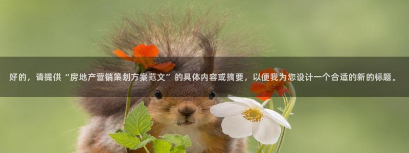 必赢qp
