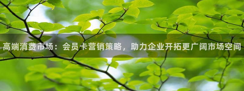 必赢平台官方客服电话