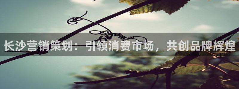 必赢最新