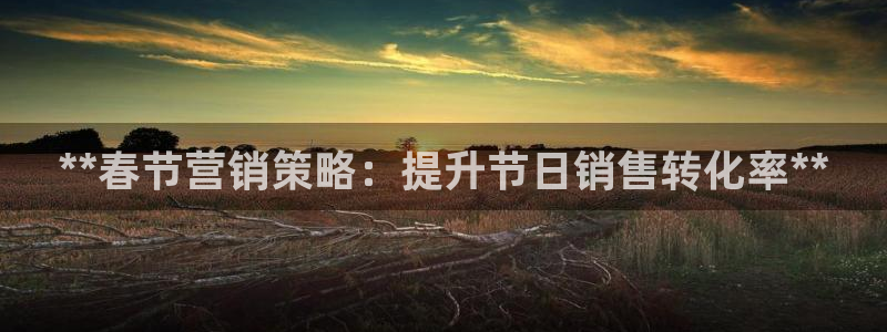 必赢公司是怎样的一家企业