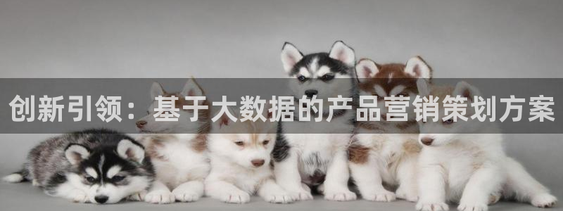 56.nt必赢官网