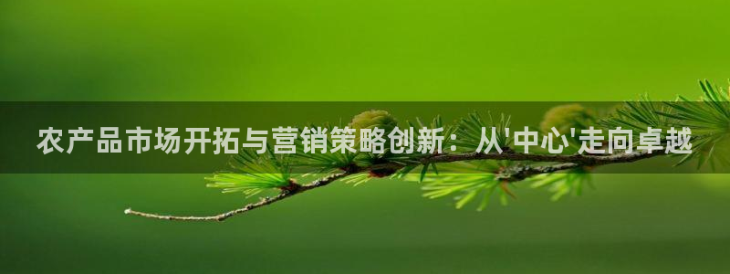 必赢516net怎么进