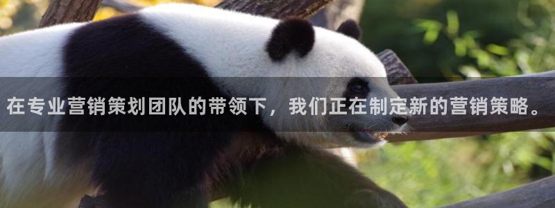 必赢这个软件怎么样知乎