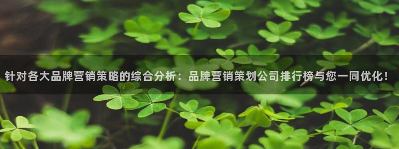 必赢平台怎么样