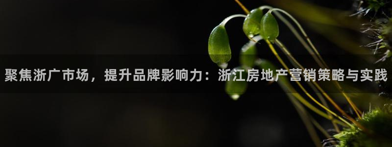 必赢网站平台登录：聚焦浙广市场