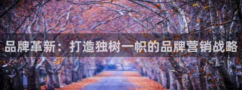 必赢8833扑鱼：品牌革新：打
