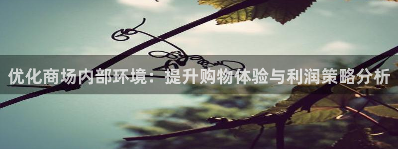 必赢app安卓版下载