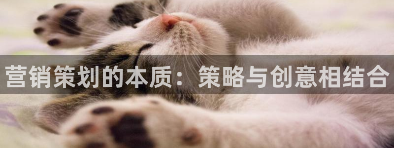 必赢集团网站首页