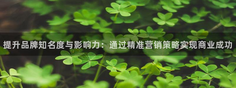 亚洲必赢官网：提升品牌知名度与