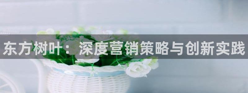 必赢网站进去：东方树叶：深度营