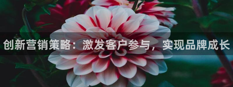 必赢国际苹果怎么下载：创新营销