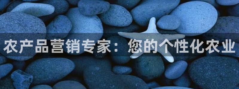 必赢72886网址多少啊