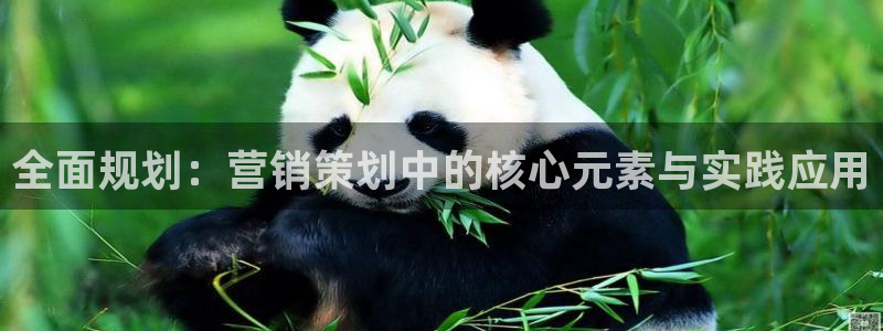 必赢3003手机网页版
