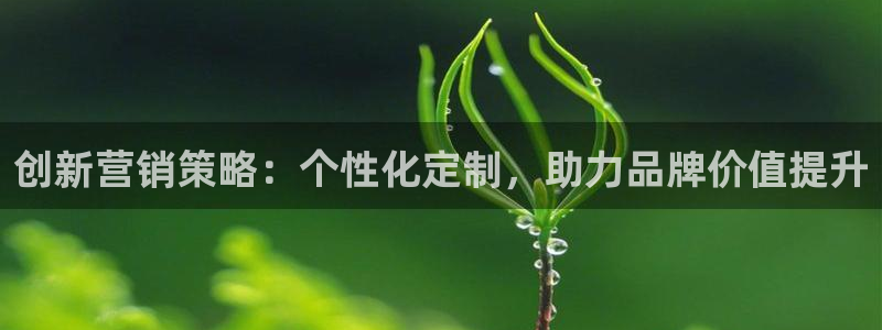 必赢网站网址是多少