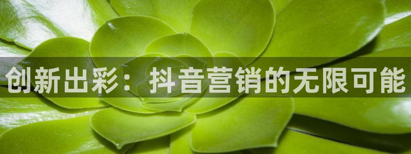 必赢官网app下载安装手机版
