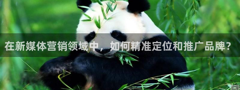 9965必赢苹果下载