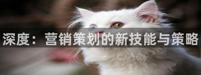 必赢平台官方网站登录