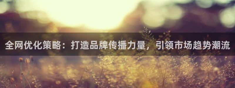 必赢客软件