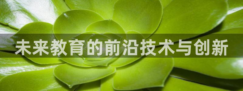 必赢官网app下载苹果手机