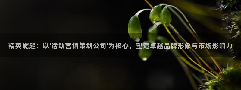 必赢棋盘app下载官网