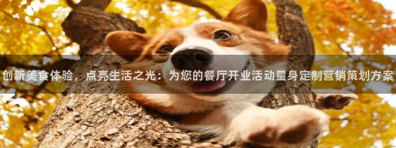 必赢72886后面字母是多少