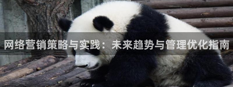 必赢国际437官方简介