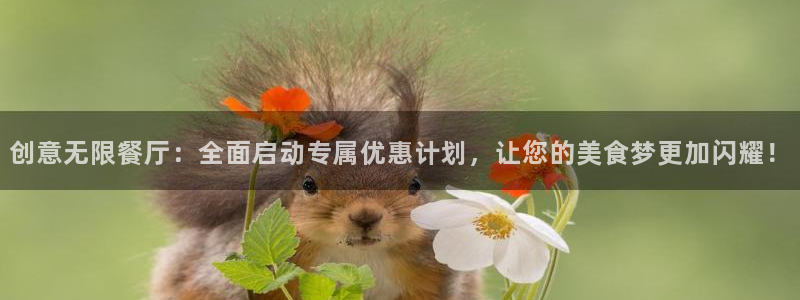 必赢官网app下载苹果