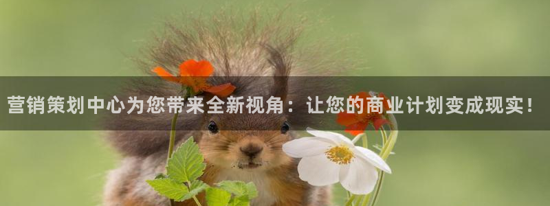 必赢网址手机主页在哪